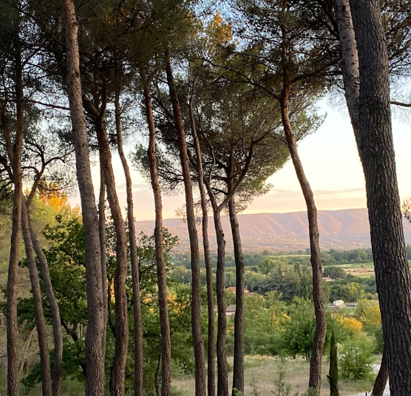 Capture d’écran 2023-07-12 183234